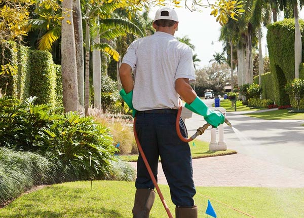 About Birchwood TN Pest Control Pros